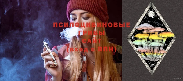 винт Баксан