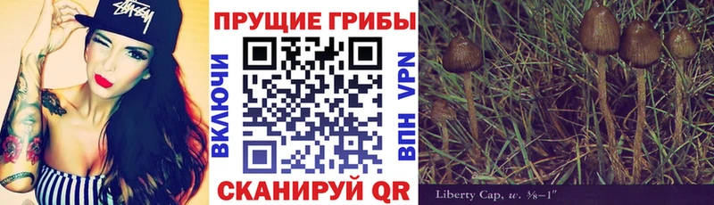 Купить  Горбатов  Галлюциногенные грибы прущие грибы 